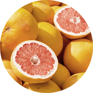 Auténtico concentrado de zumo de pomelo