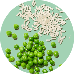 Proteína de guisantes y arroz