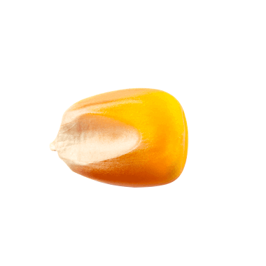 Glutamina natural