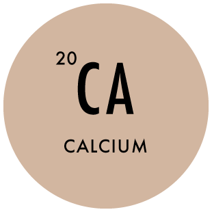 Image alternate text